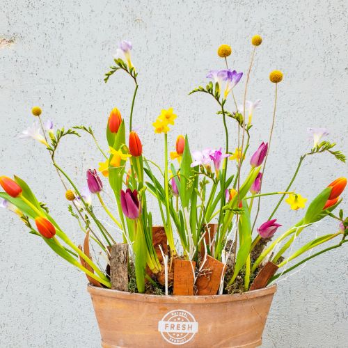 Spring Flower Arrangement