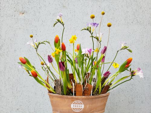 Spring Flower Arrangement