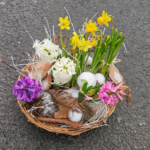 Looking for Spring flower arrangement