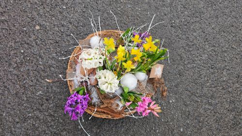 Looking for Spring flower arrangement