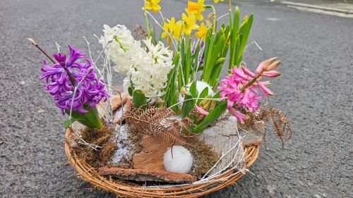 Looking for Spring flower arrangement