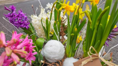 Looking for Spring flower arrangement