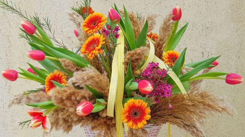 Basket of Tulips and Pampas