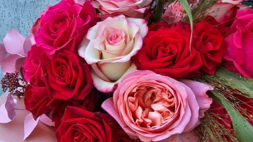 Bouquet Tender Romance 25 / 49/ 101 roses