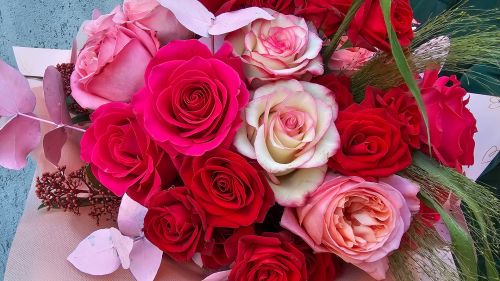 Bouquet Tender Romance 25 / 49/ 101 roses