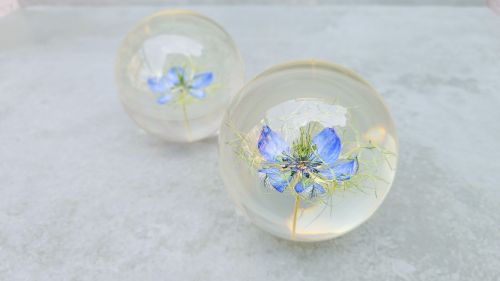 FIORE " BLUE NIGELA"