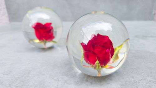 FIORE " RED ROSE "