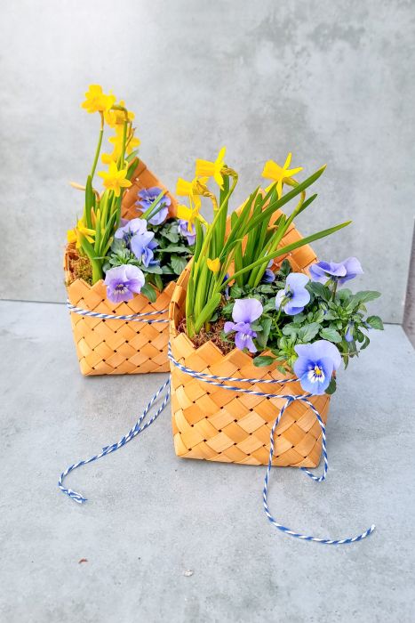 Basket with violets and mini daffodils
