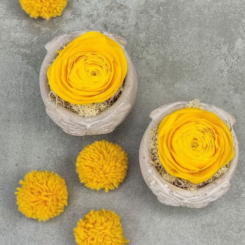 Miniature with a long lasting buttercup