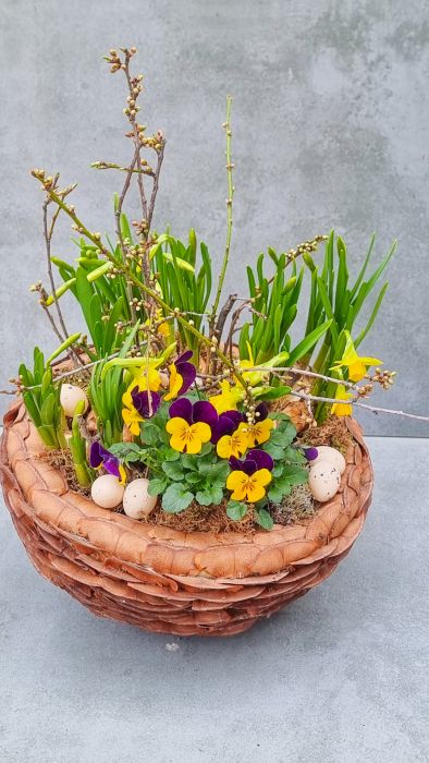 Pinecone  spring garden