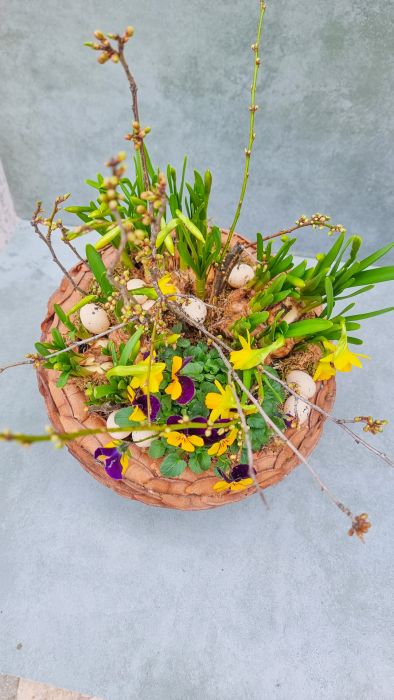 Pinecone  spring garden