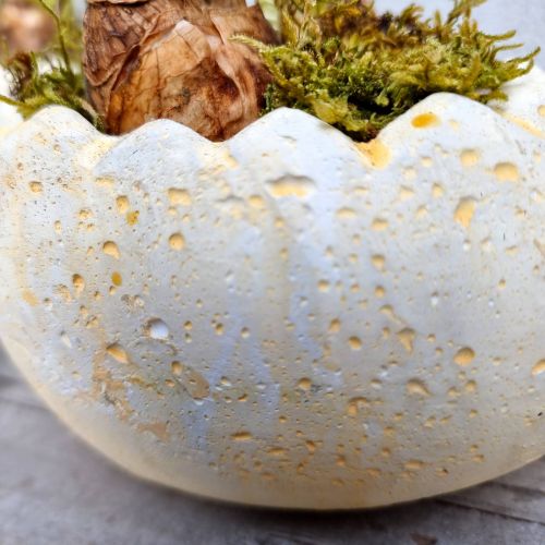 Daffodils in a ceramic egg shaped container