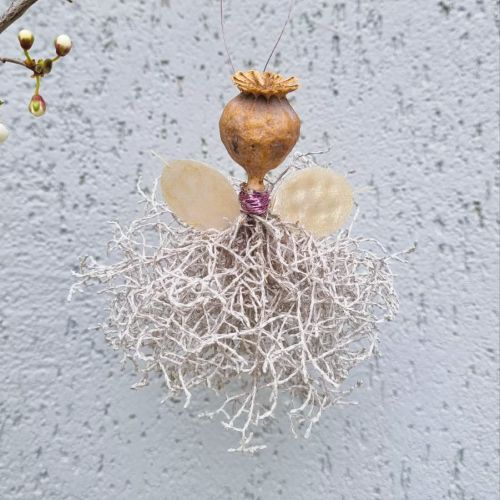 Little charming fairy