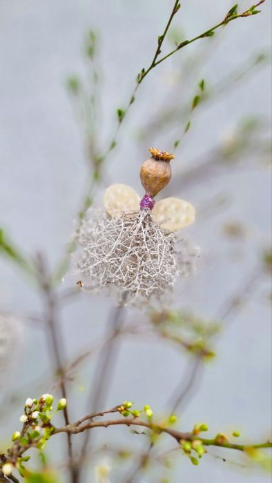 Little charming fairy
