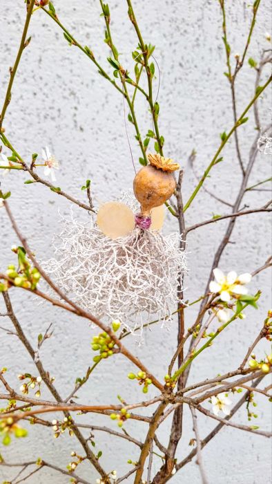 Little charming fairy
