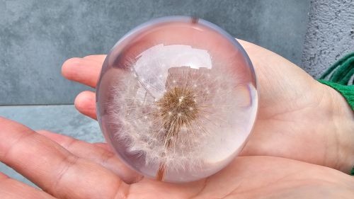 Fiore Dandelion