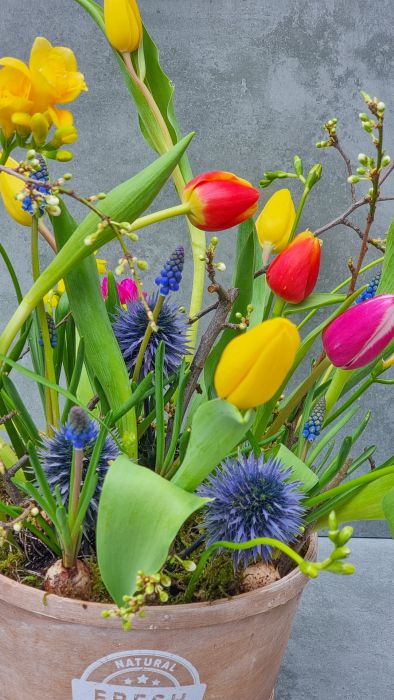 Spring Dance