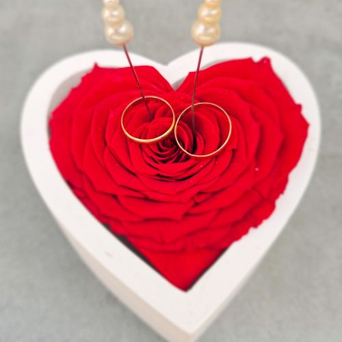 Wedding rings heart with preserved red rose