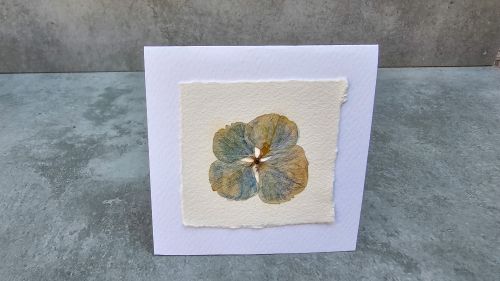 "Hydrangea" wedding gift for guests