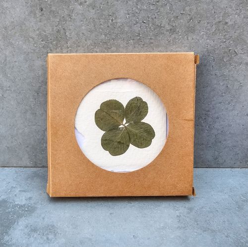 Four-leaf clover wedding gift