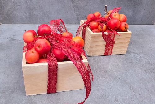 Small box with decorative apples