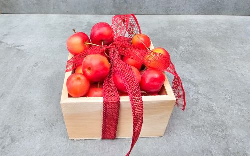 Small box with decorative apples