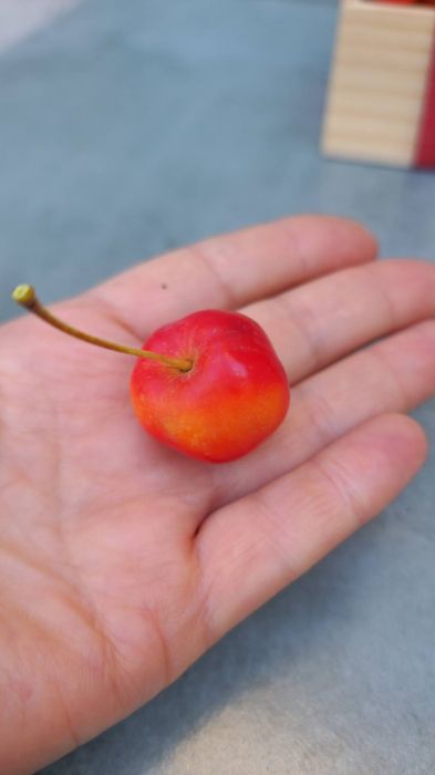 Small box with decorative apples